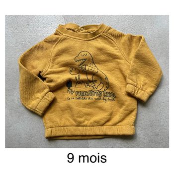 Pull taille 9 mois