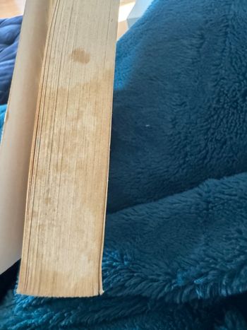 La jeune fille au pair