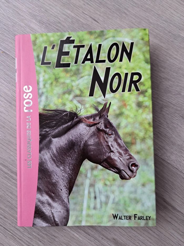 Livre bibliothèque rose L'étalon noir