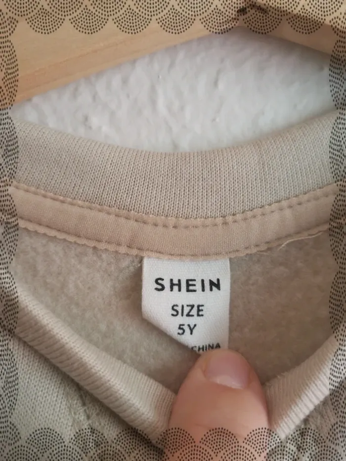 Sweat Shein 5 ans - photo numéro 5