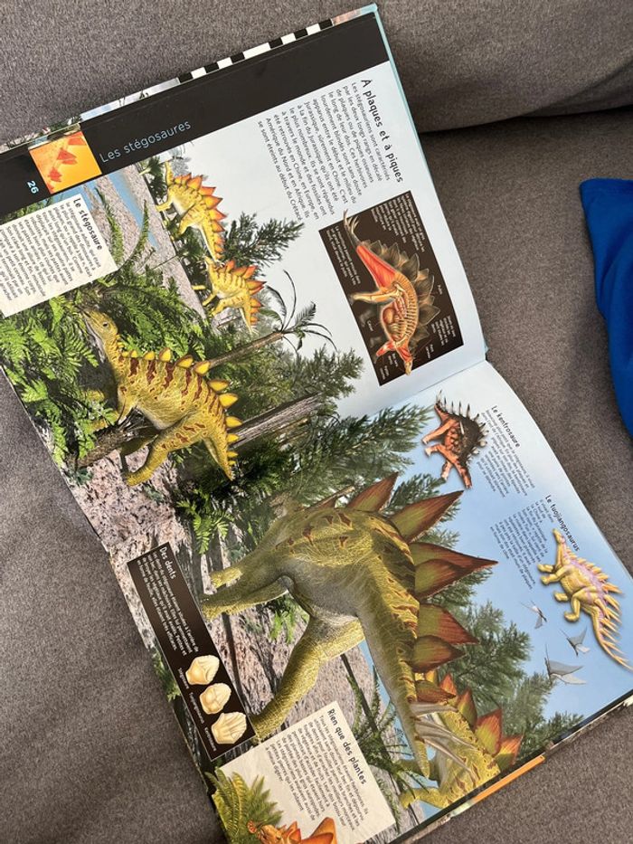 Dinosaures - photo numéro 2