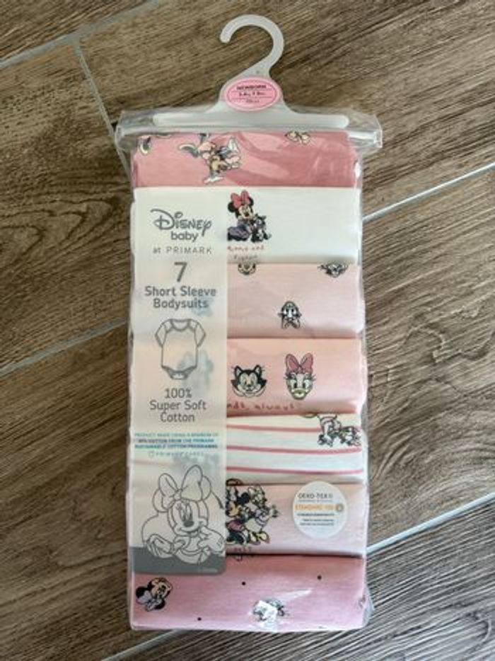7 bodies Minnie’s