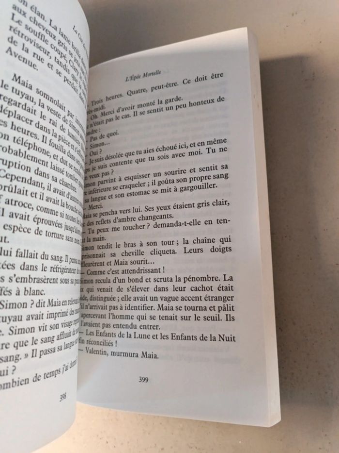 Cassandra Clare la cité des ténèbres l'épée mortelle - photo numéro 7