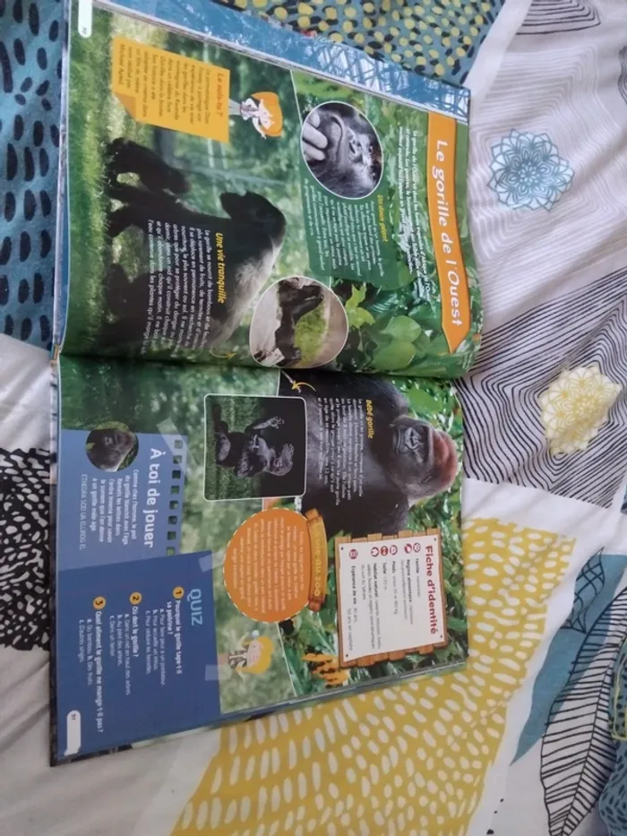 Livre animaux du zoo - photo numéro 2