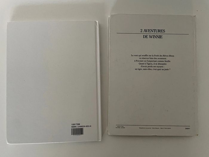 Livre Disney Winnie - photo numéro 2