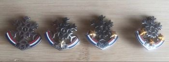 Médaille de ski ESF