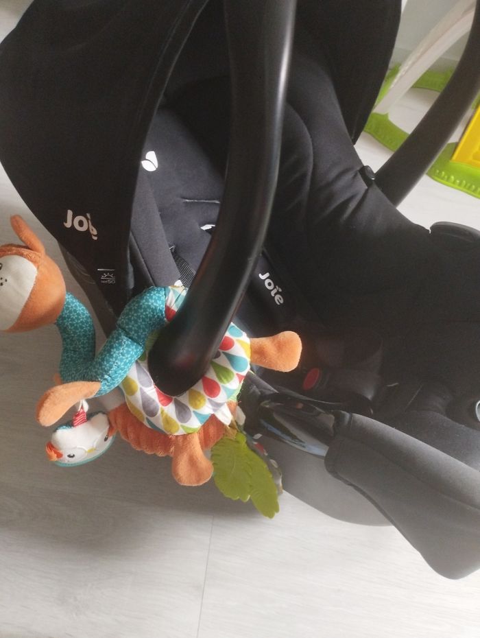 Cosy joie - photo numéro 2