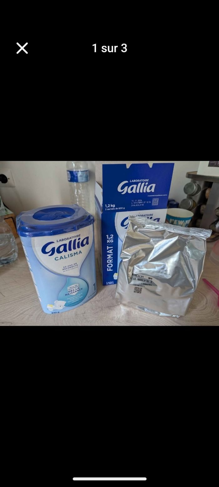 Gallia calisma