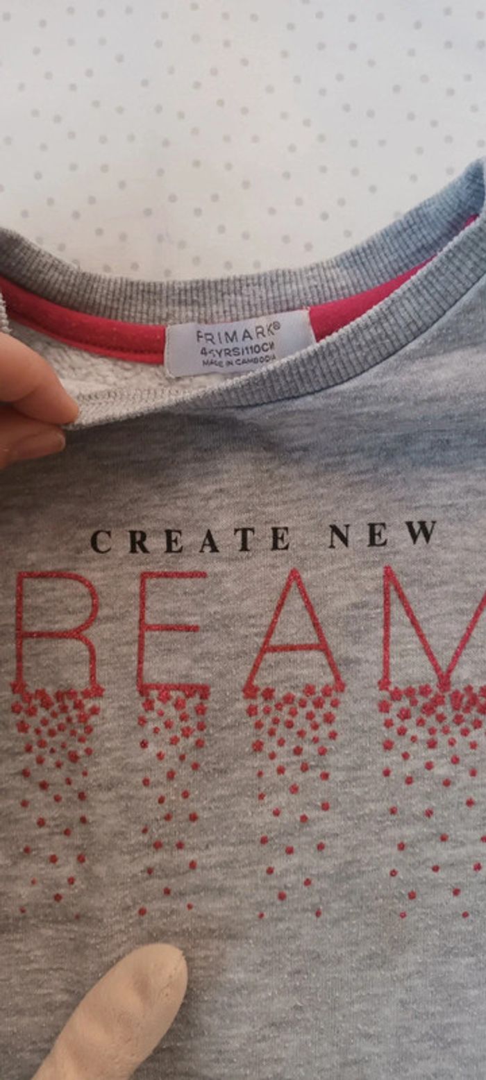 Pull 4/5 ans de primark - photo numéro 4