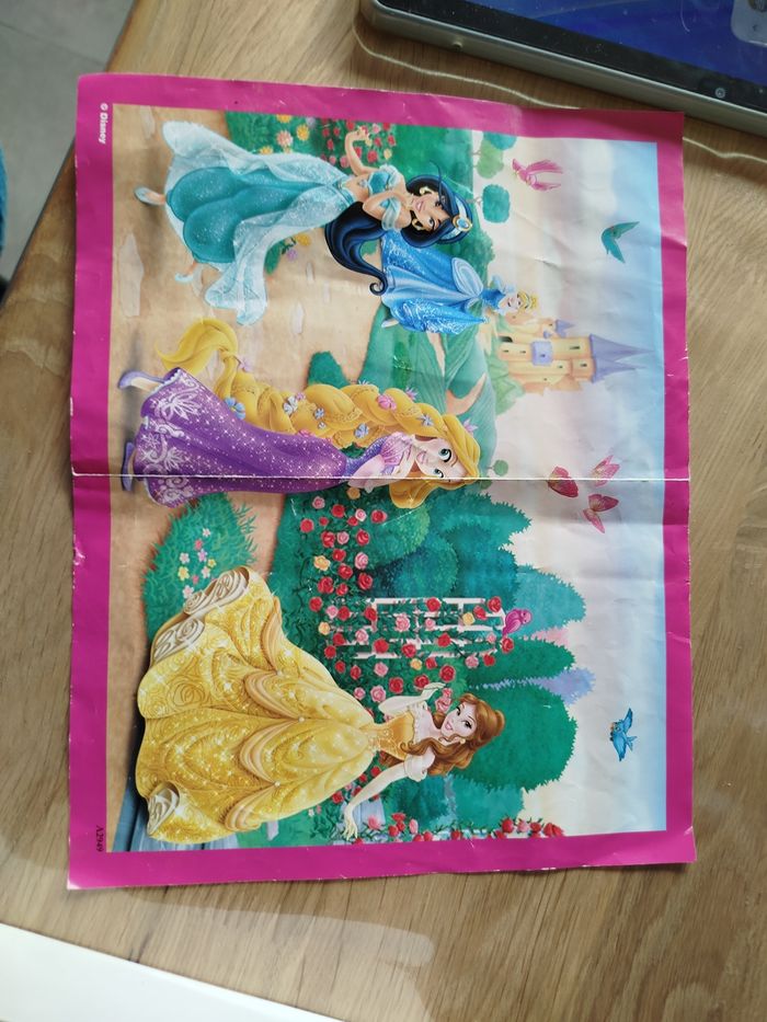 Puzzle princesse - photo numéro 6