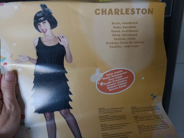 Déguisement femme charleston - photo numéro 5