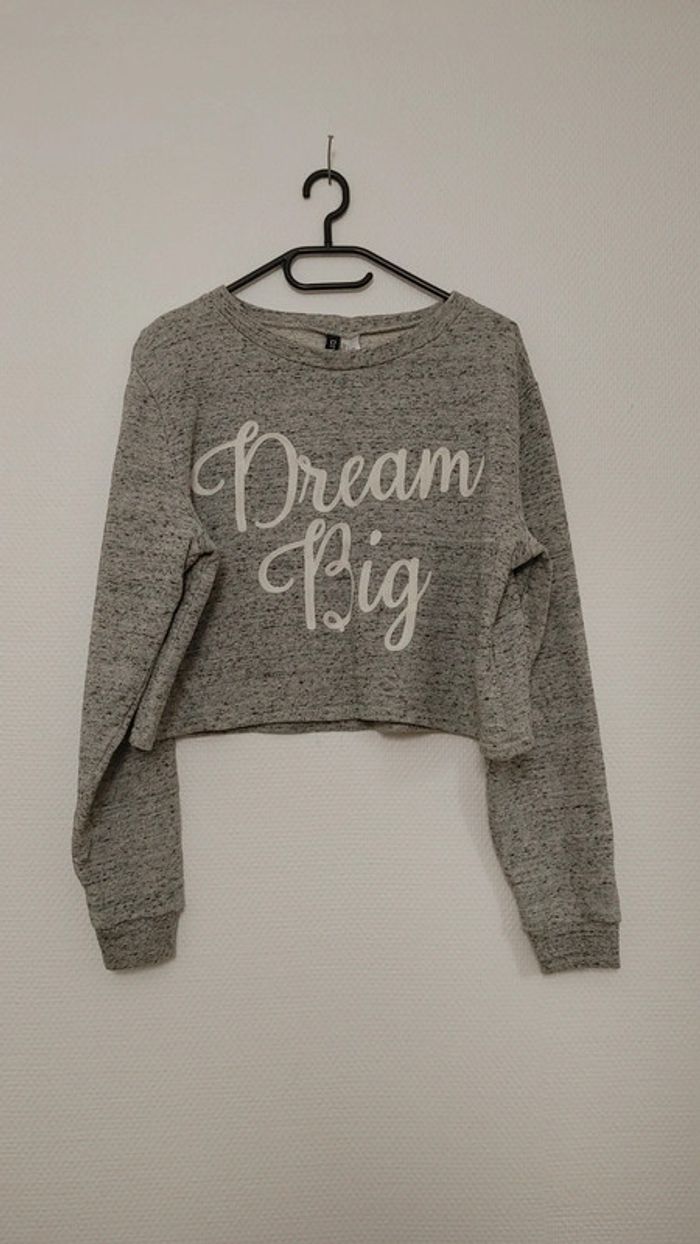 Beau pull crop top avec inscription brodée