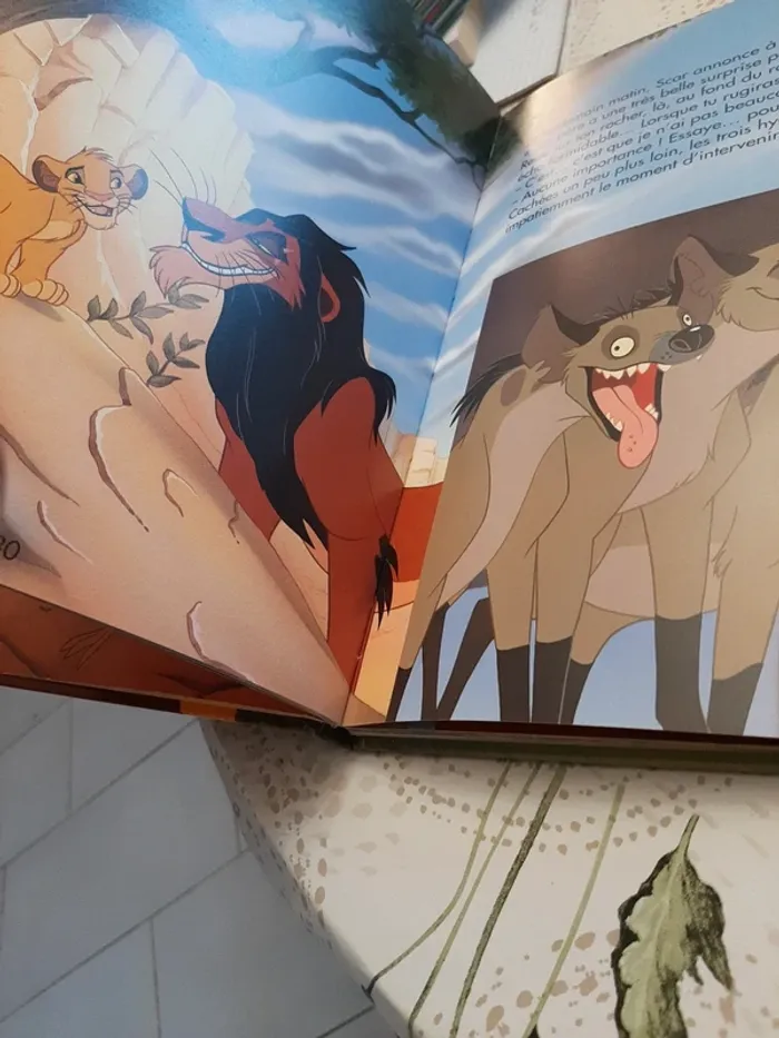 Gros livre disney le roi lion - photo numéro 9