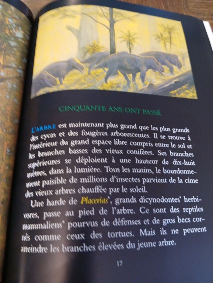 L'arbre aux dinosaures - photo numéro 3