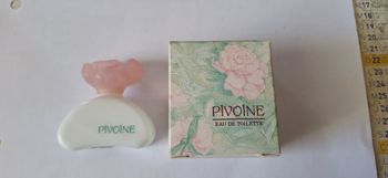 Miniature Pivoine vide Yves Rocher