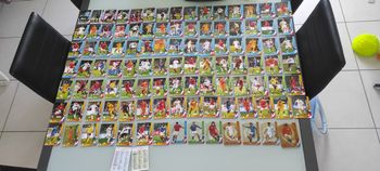 Cartes panini euro foot 2008 0.50cts la carte