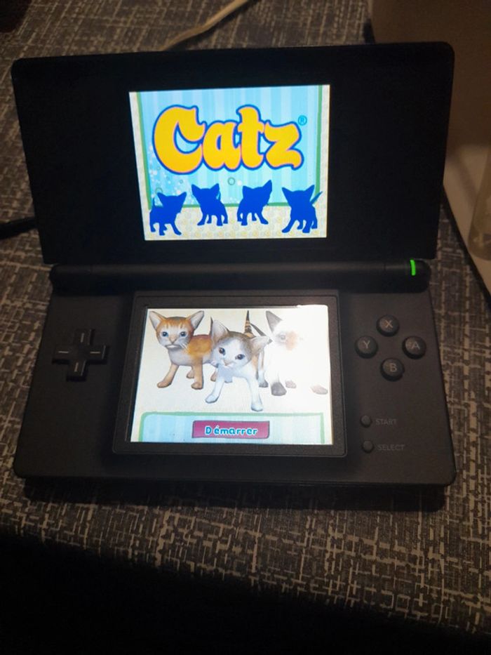 Catz Nintendo DS - photo numéro 15