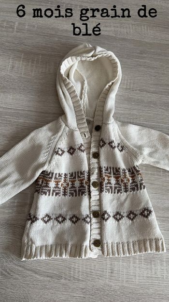 Gilet à capuche