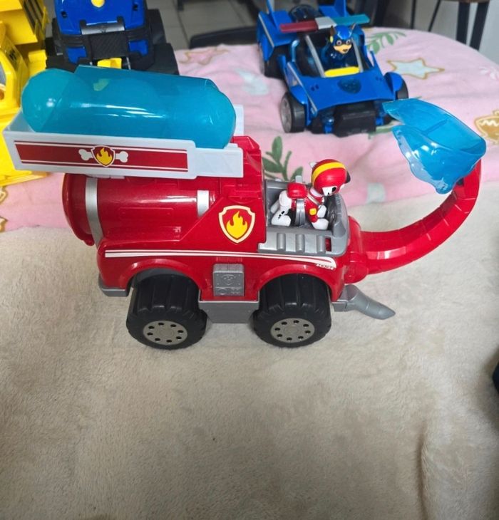 Marcus deluxe jungle