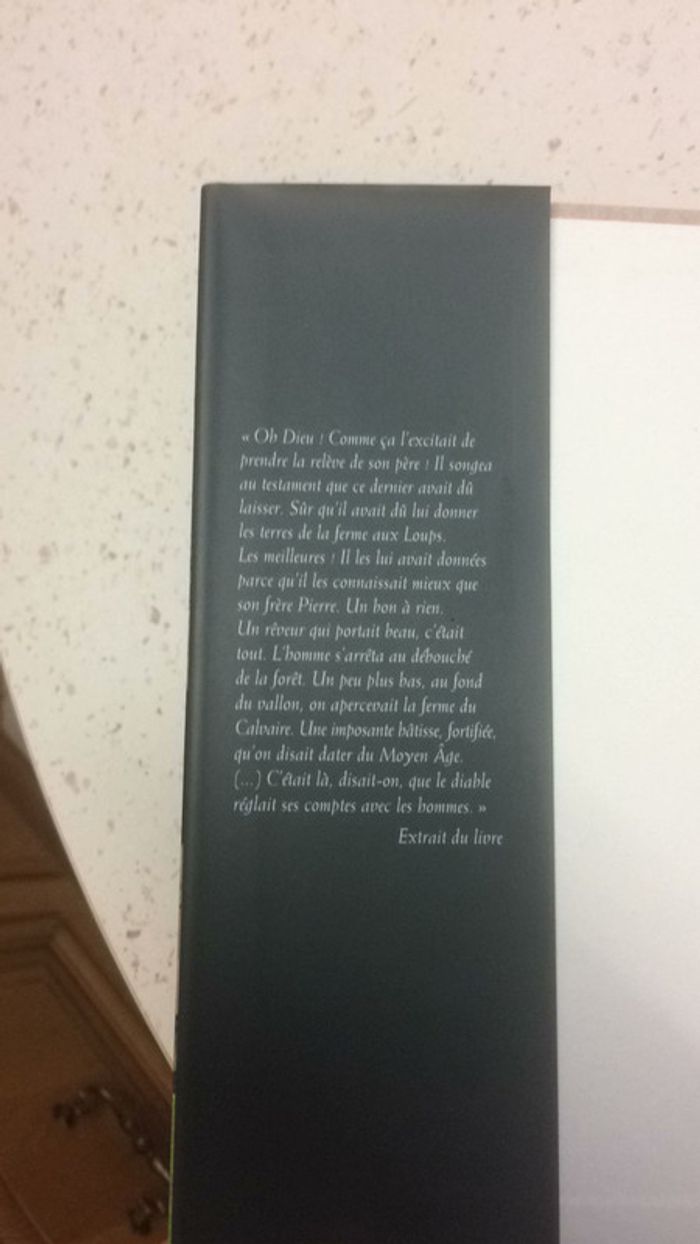 Le pré aux corbeaux - photo numéro 3