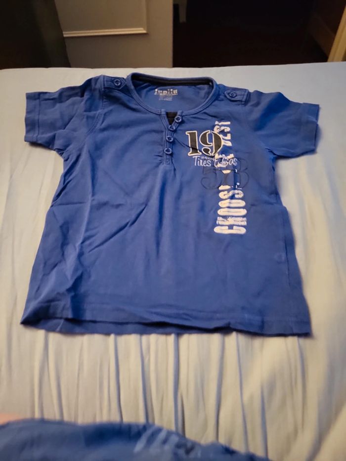 T shirt lupilu