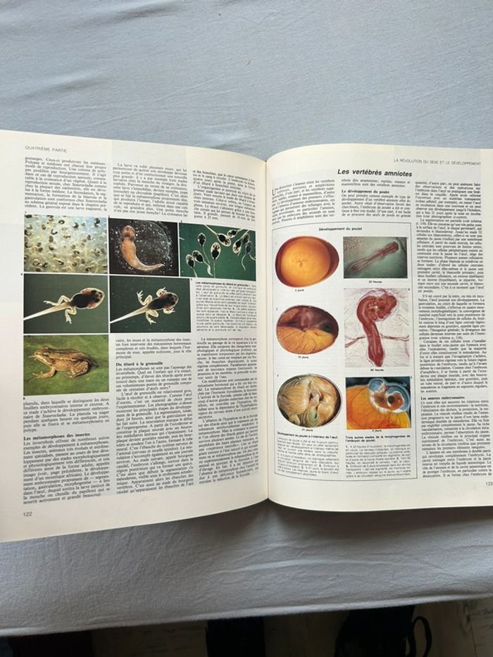 Livre « la fabuleuse aventure de la vie » - photo numéro 3