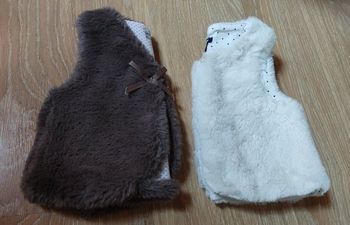 Lot gilet fourrure