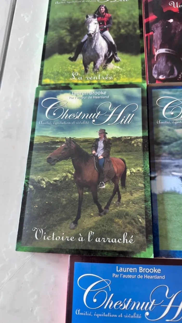 📚 Lot complet – Chestnut Hill – Tomes 1 à 9 – Lauren Brooke - photo numéro 11