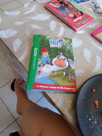 Livre Nils holgersson