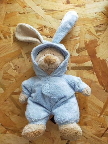 Ours en peluche