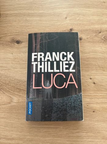 Roman Franck Thilliez - Luca