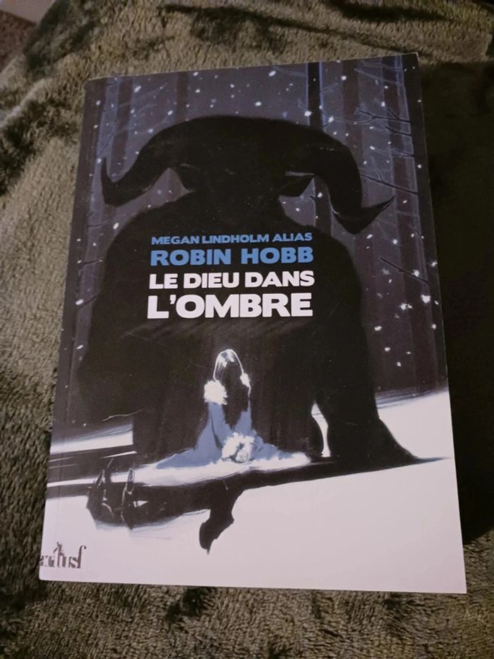 Le Dieu dans l'ombre - Robin Hobb