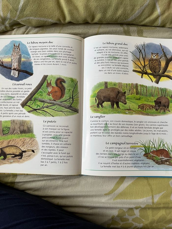 Livre   Ma première encyclopédie des animaux neuf - photo numéro 3