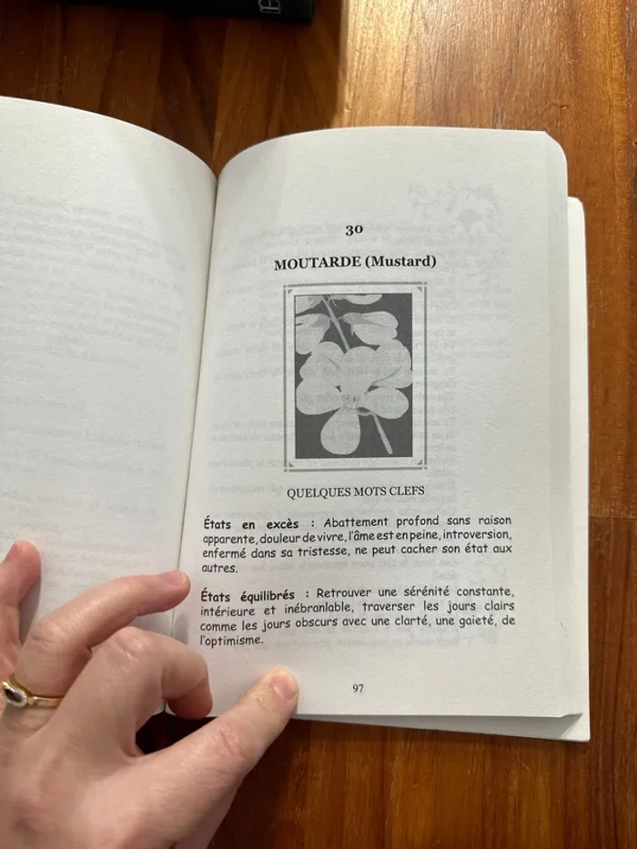 Livre les fleurs et vous - photo numéro 4
