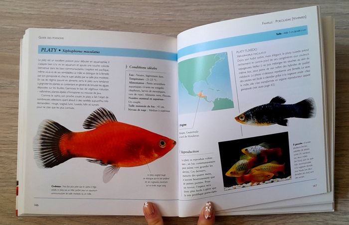 créer un aquarium tropical - photo numéro 6