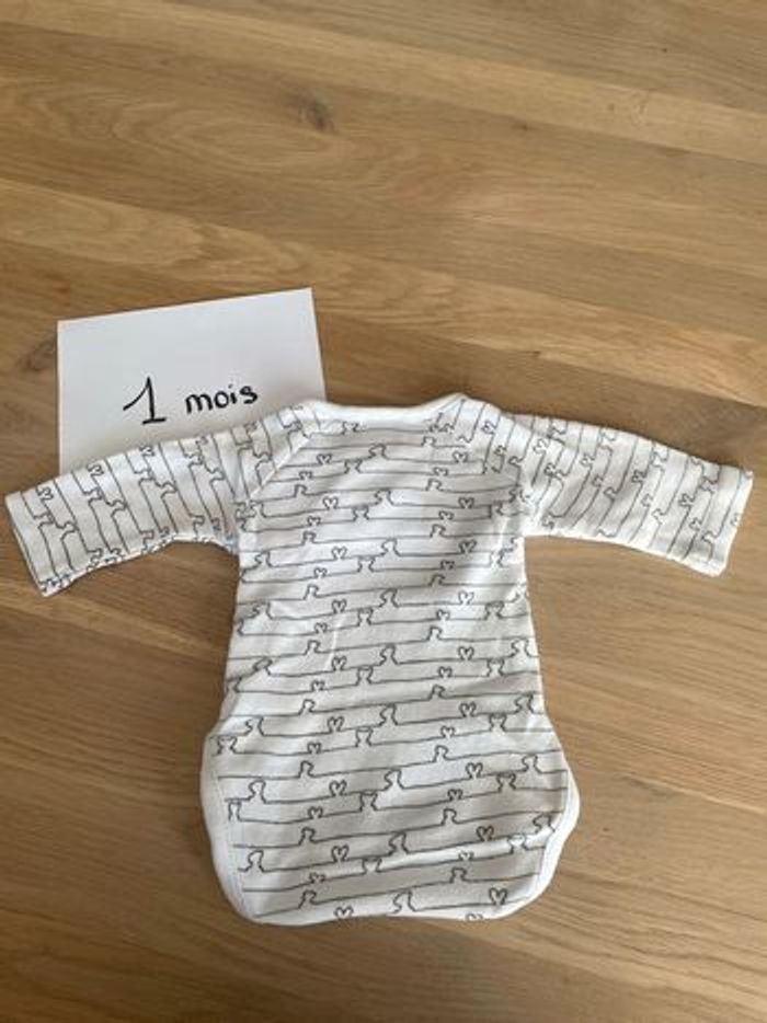 Body mixte Boîte à malices 1 mois - photo numéro 2