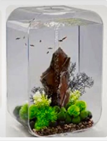 Aquarium Biorb