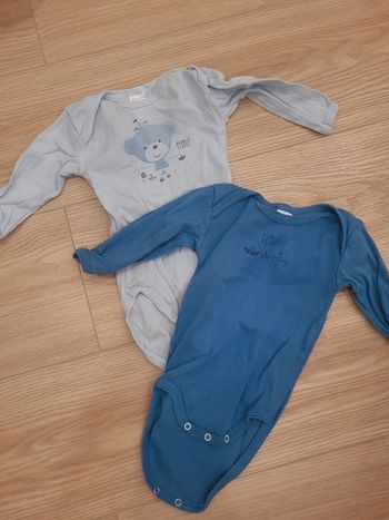 Lot 2 bodies absorba