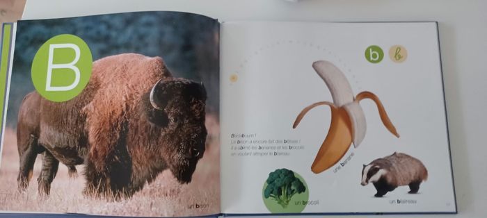 Livre les lettres neuf. - photo numéro 4