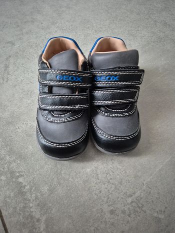 Baskets geox pointure 20