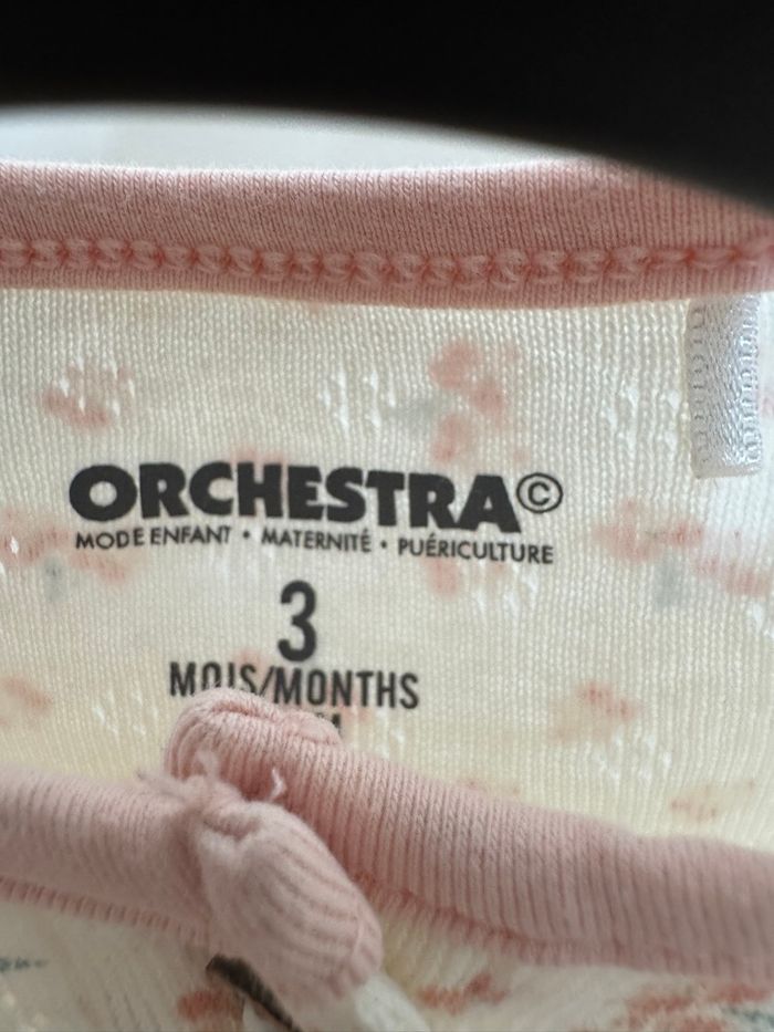 Combishort - photo numéro 4