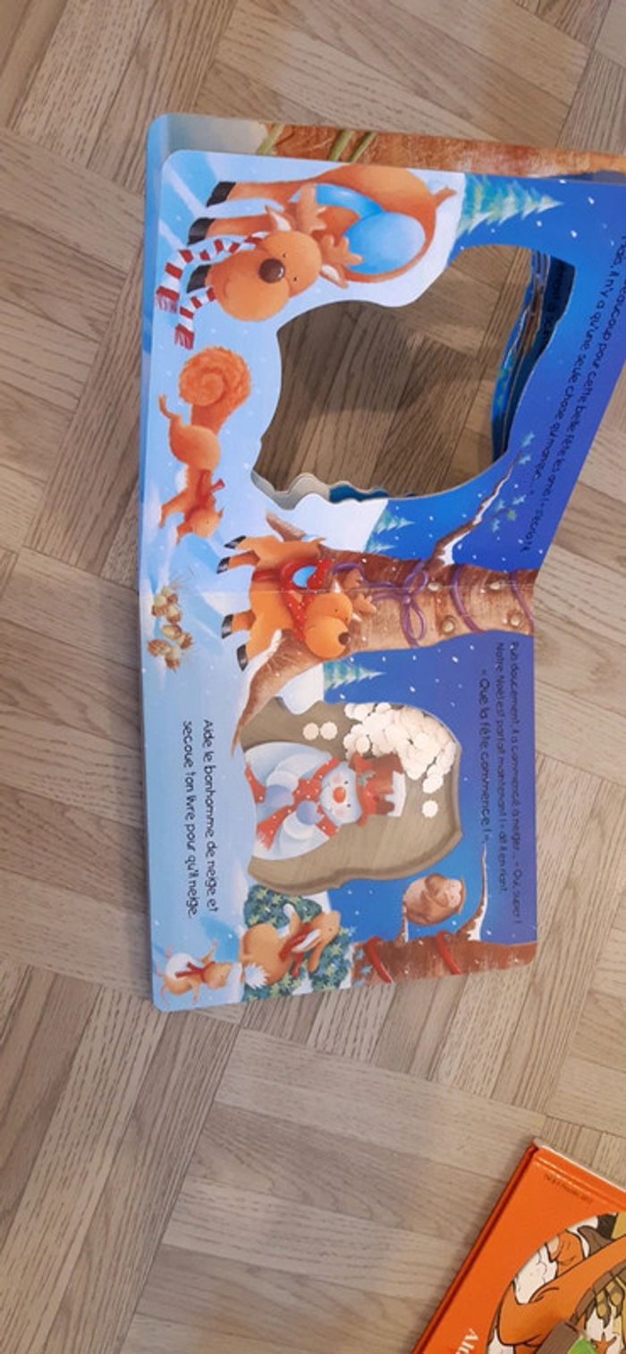 Le Bonhomme de Neige - photo numéro 3