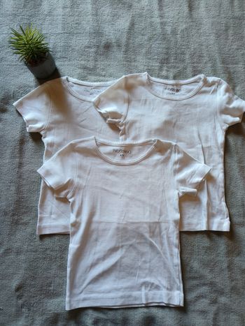 Lot 3 maillot de corps