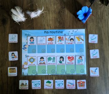 Routine enfant oiseau et chouette