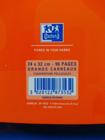 Trois cahiers 24 par 32 cm 96 pages Oxford