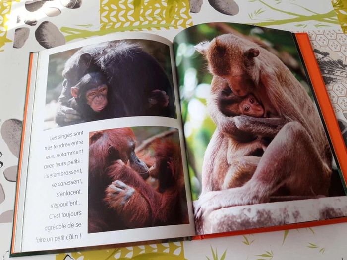 Livre :  Le monde  merveilleux des animaux  en  photos les singes - photo numéro 11