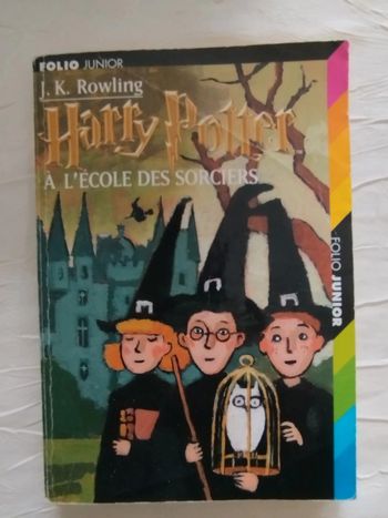 Harry Potter à l'école des sorciers