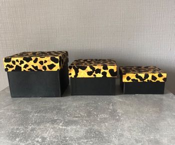 Lot 3 boîtes gygogne