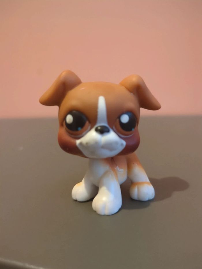 Littlest Petshop Lps Chien