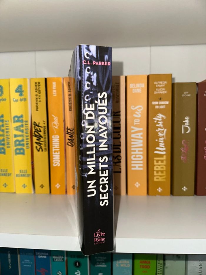 Un million de secrets inavoués - photo numéro 4